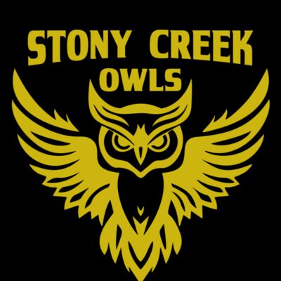 School Owls 04 Thumbnail