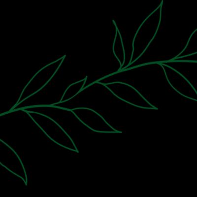Leaves 2 Thumbnail